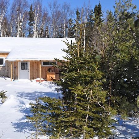 The Sleeping Moose Cottage Birch Plain Dış mekan fotoğraf