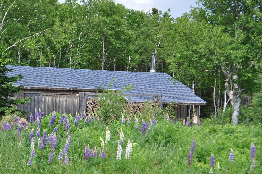 The Sleeping Moose Cottage Birch Plain Dış mekan fotoğraf