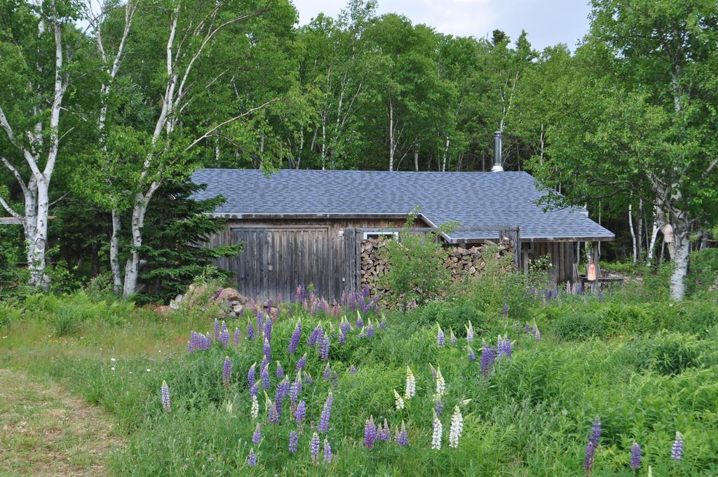 The Sleeping Moose Cottage Birch Plain Dış mekan fotoğraf