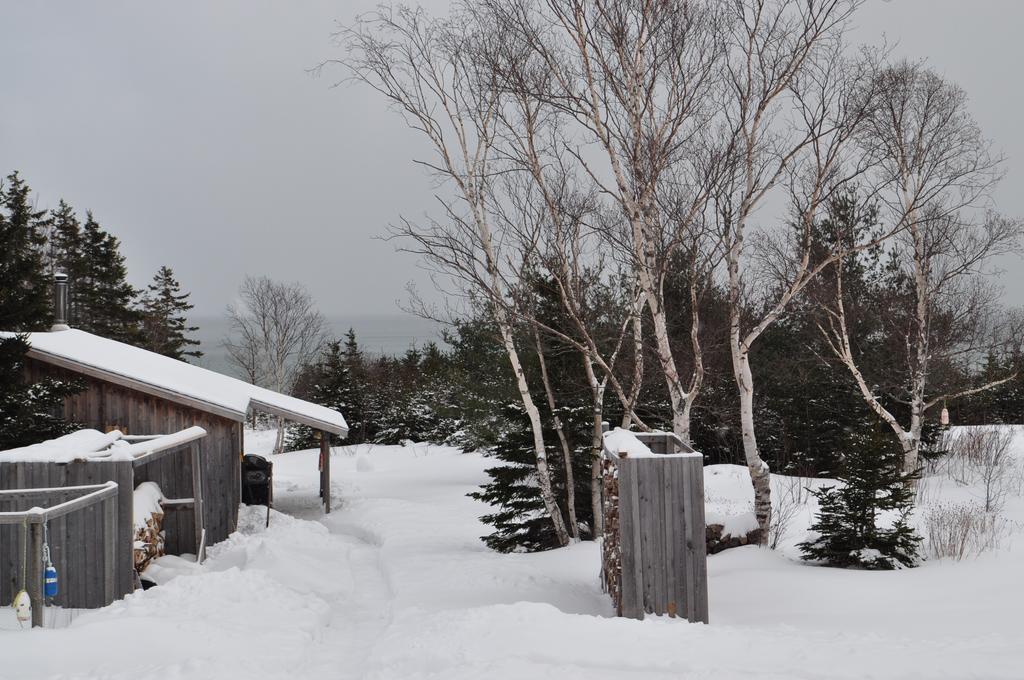 The Sleeping Moose Cottage Birch Plain Dış mekan fotoğraf