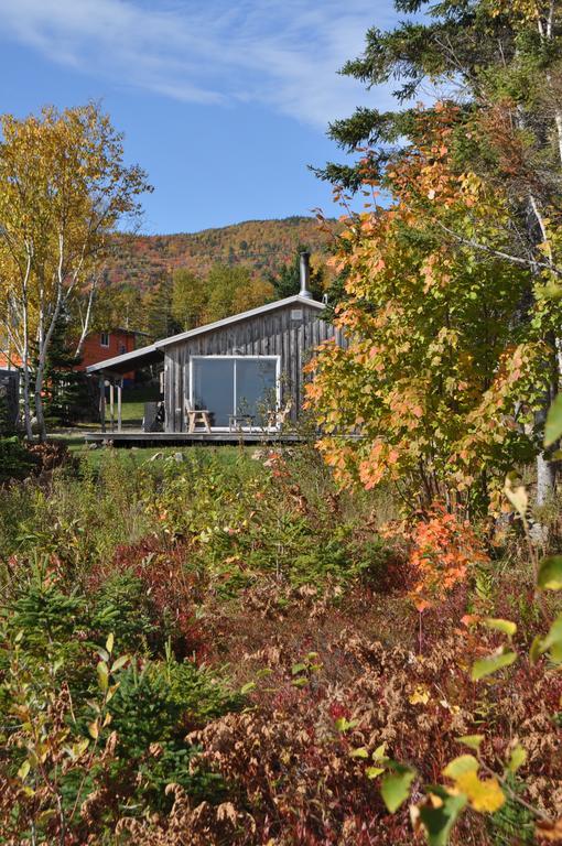 The Sleeping Moose Cottage Birch Plain Dış mekan fotoğraf